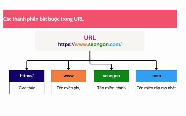 Cấu trúc URL ảnh hoàn chỉnh bao gồm giao thức, tên miền, đường dẫn và tên tệp, ví dụ về một URL ảnh điển hình.