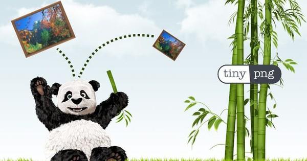 Công cụ nén ảnh PNG TinyPNG trực tuyến