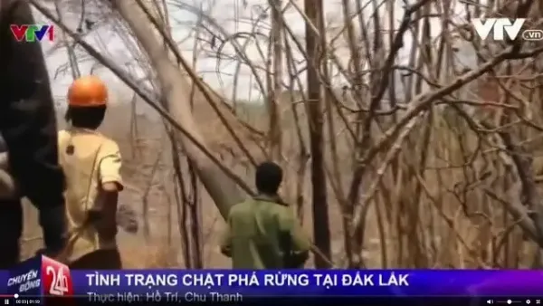 Đạo đức nghề nghiệp trong phóng sự ảnh