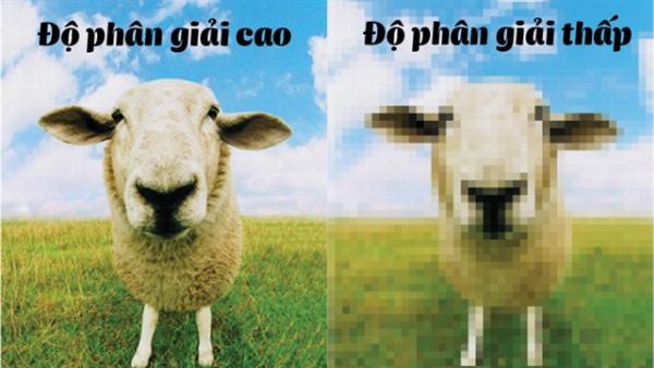 mật độ điểm ảnh cao có phải lúc nào cũng tốt ví dụ so sánh trên màn hình