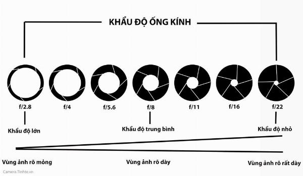 Sử Dụng Ảnh Ref Sáng Tạo Trong Nhiếp Ảnh
